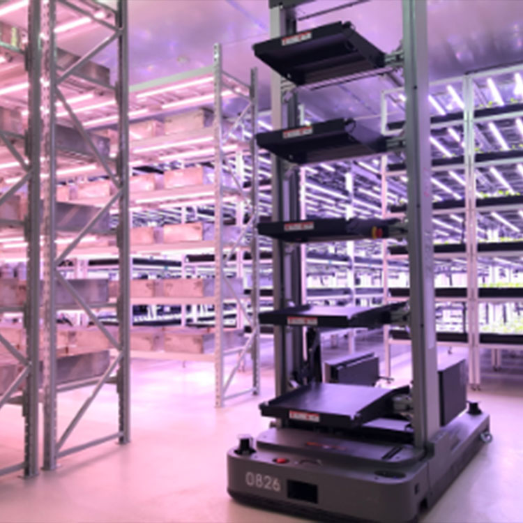 嫁接愈合育苗工厂