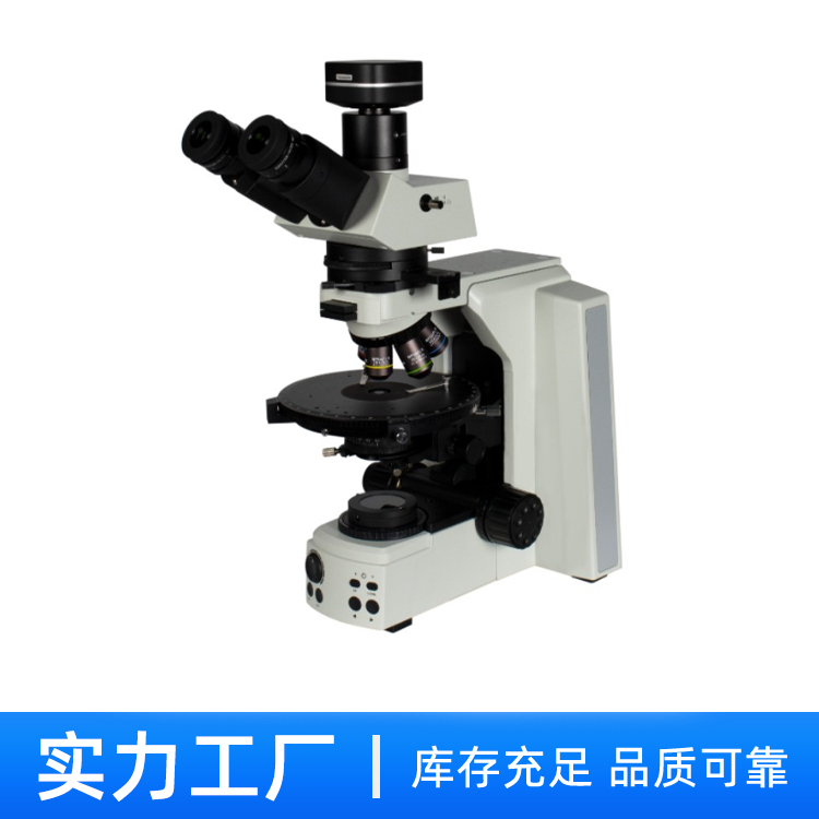 偏光显微镜