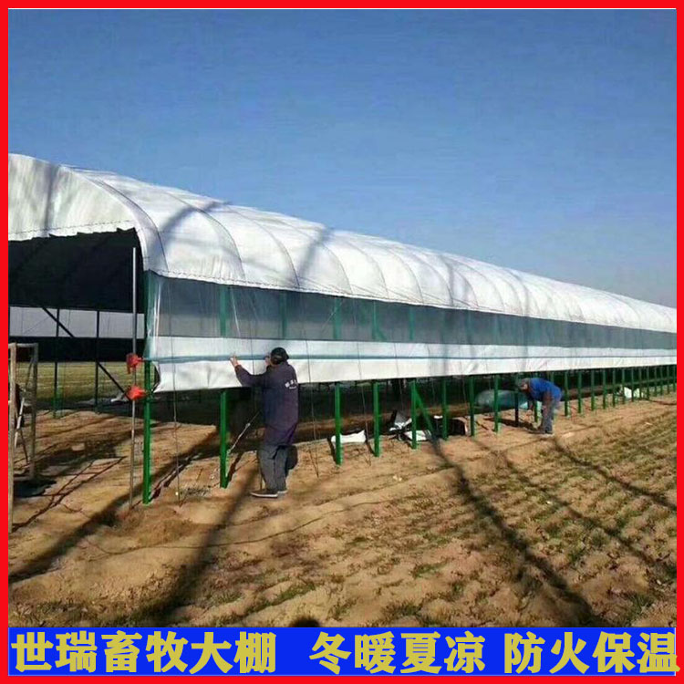 养牛场牛棚建设 牛舍大棚搭建 黄牛养殖大棚安装