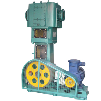 无油立式耐腐真空泵