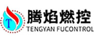Xian-Xian New Area Tengyan Flame Control Technology Co., Ltd.