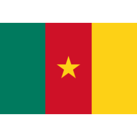 喀麦隆BESC/ECTN
