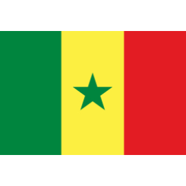 塞内加尔BSC/ECTN