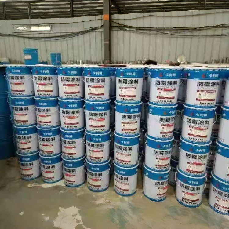 9512防霉涂料