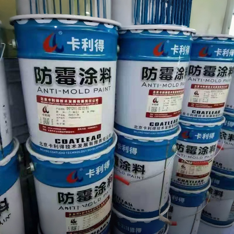 9512防霉涂料