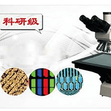 科研级三目正置金相显微镜LH-71S