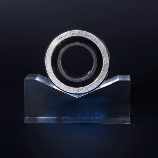 BS Series Ball Screw Support Bearings