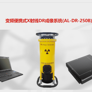 变频便携式X射线DR成像系统(AL-DR-300D)