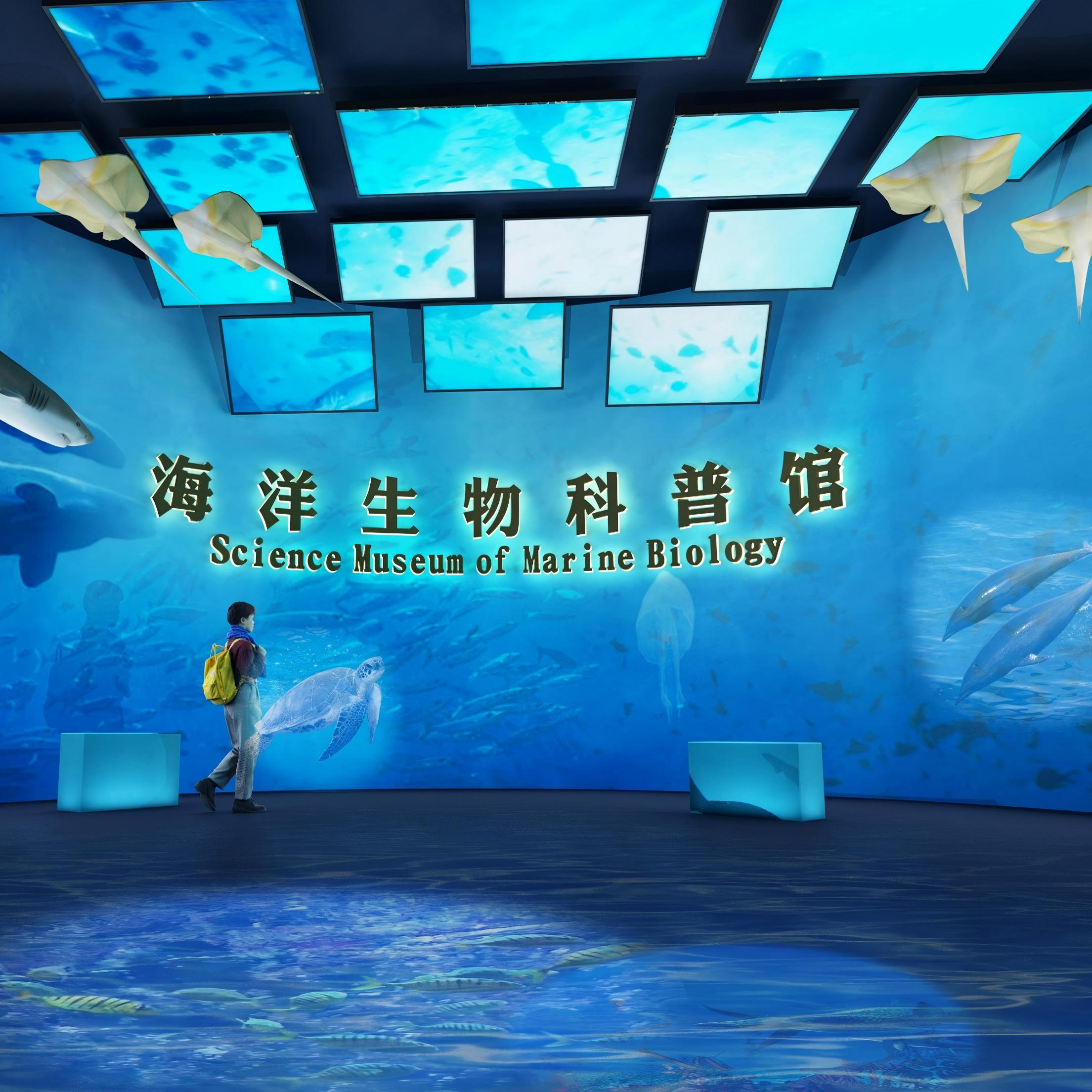 海洋生物科普馆-智业文创