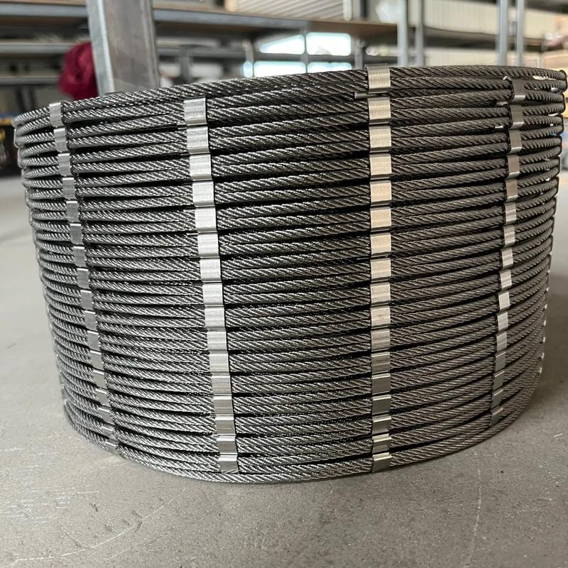 Stainless Steel Wire Mesh