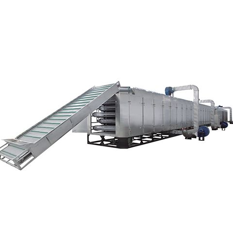 Single-layer belt dryer