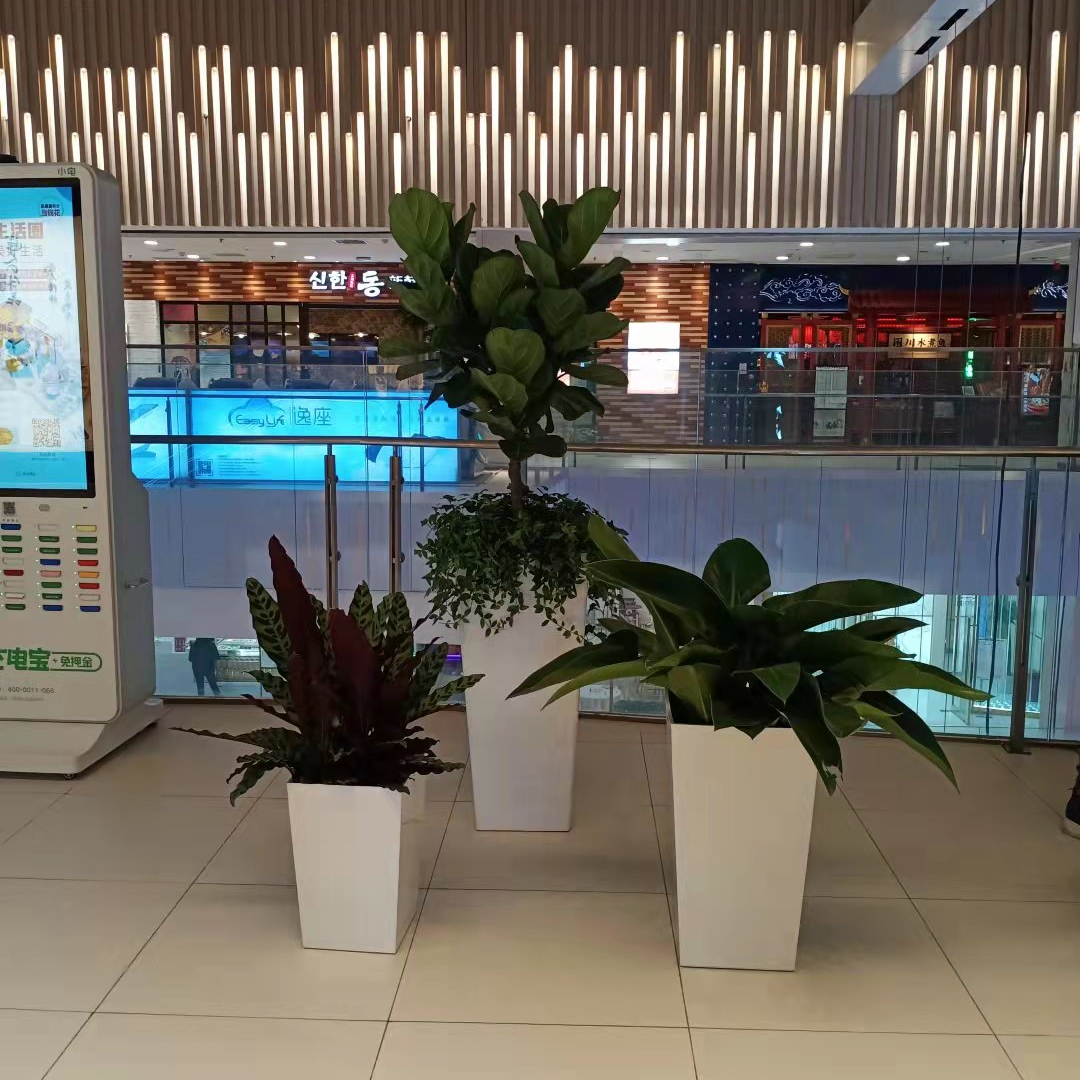 丰台总部基地花卉绿植租摆出租服务公司