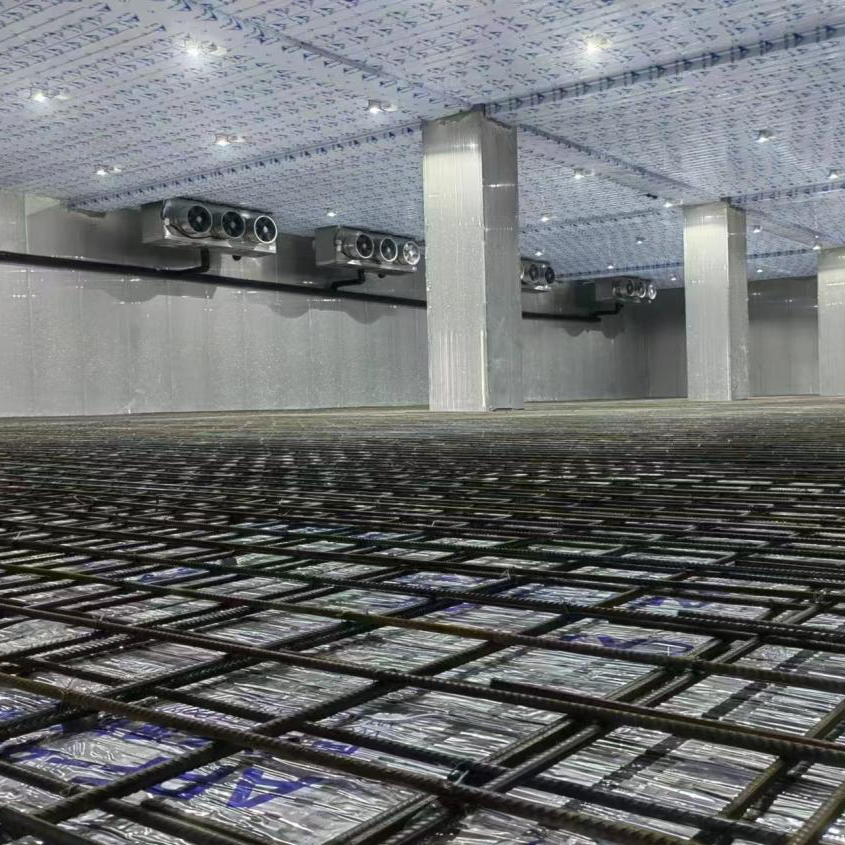 龙岛食品（江门）有限公司低温冷库