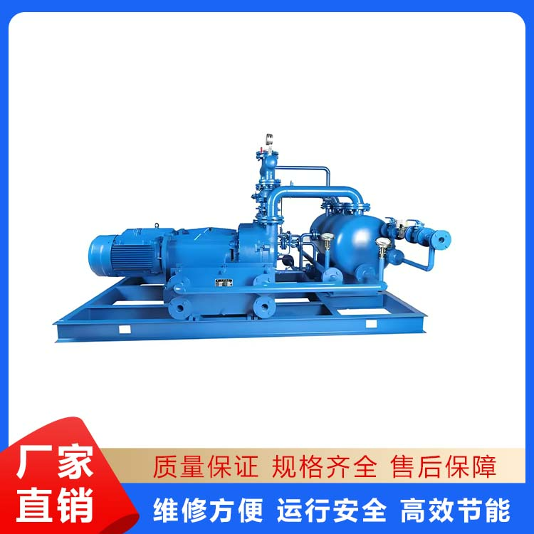 BZ2BV系列水环式真空泵及压缩机闭式循环成套装置