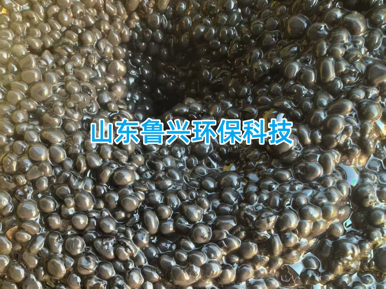 鲁兴环保厌氧颗粒污泥：高氨氮废水脱氮的高效生物载体