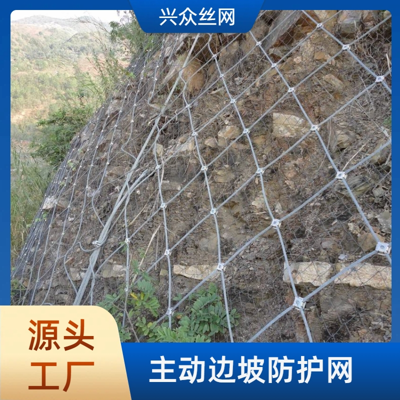 主动边坡防护网