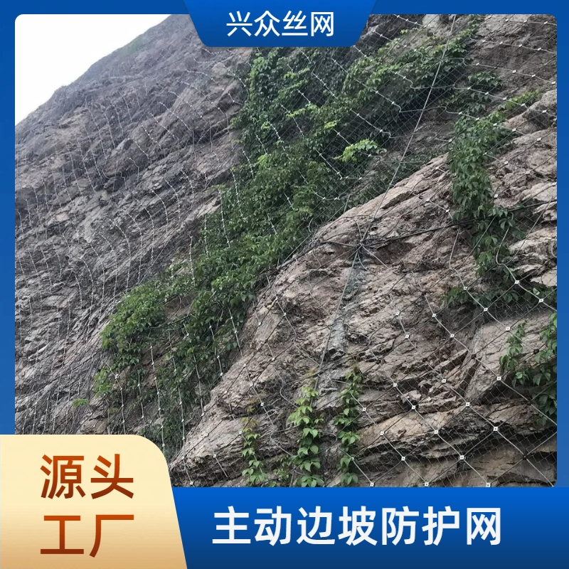 主动边坡防护网