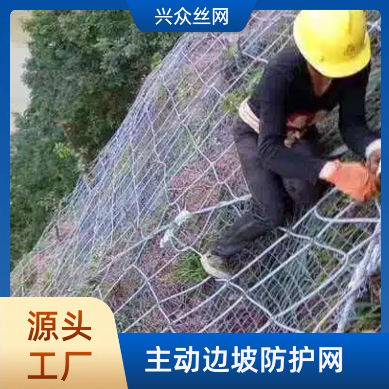 主动边坡防护网