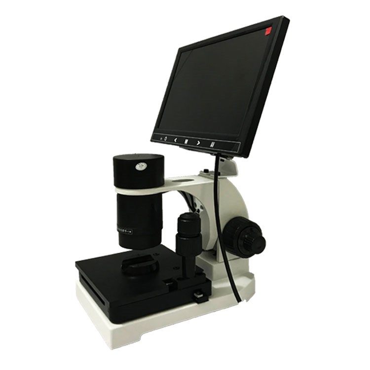 XW880微循环检测仪