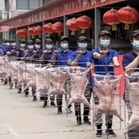 理氏卧式可折叠烤羊炉