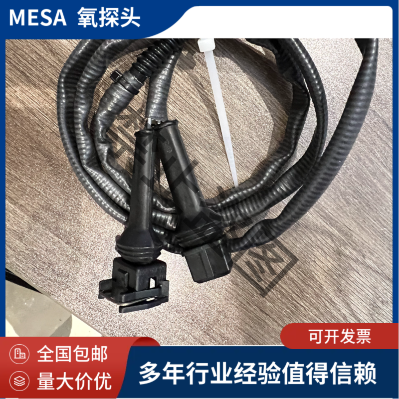德国MESA取样式氧探头 固体电解质氧化锆技术