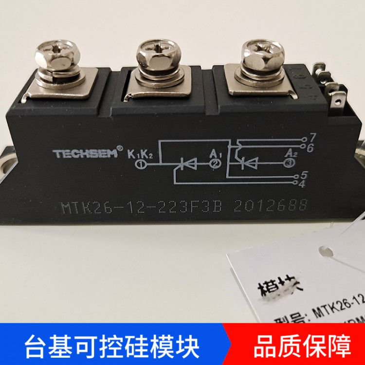 TECHSEM台基可控硅模块MTC110-16-223F3B