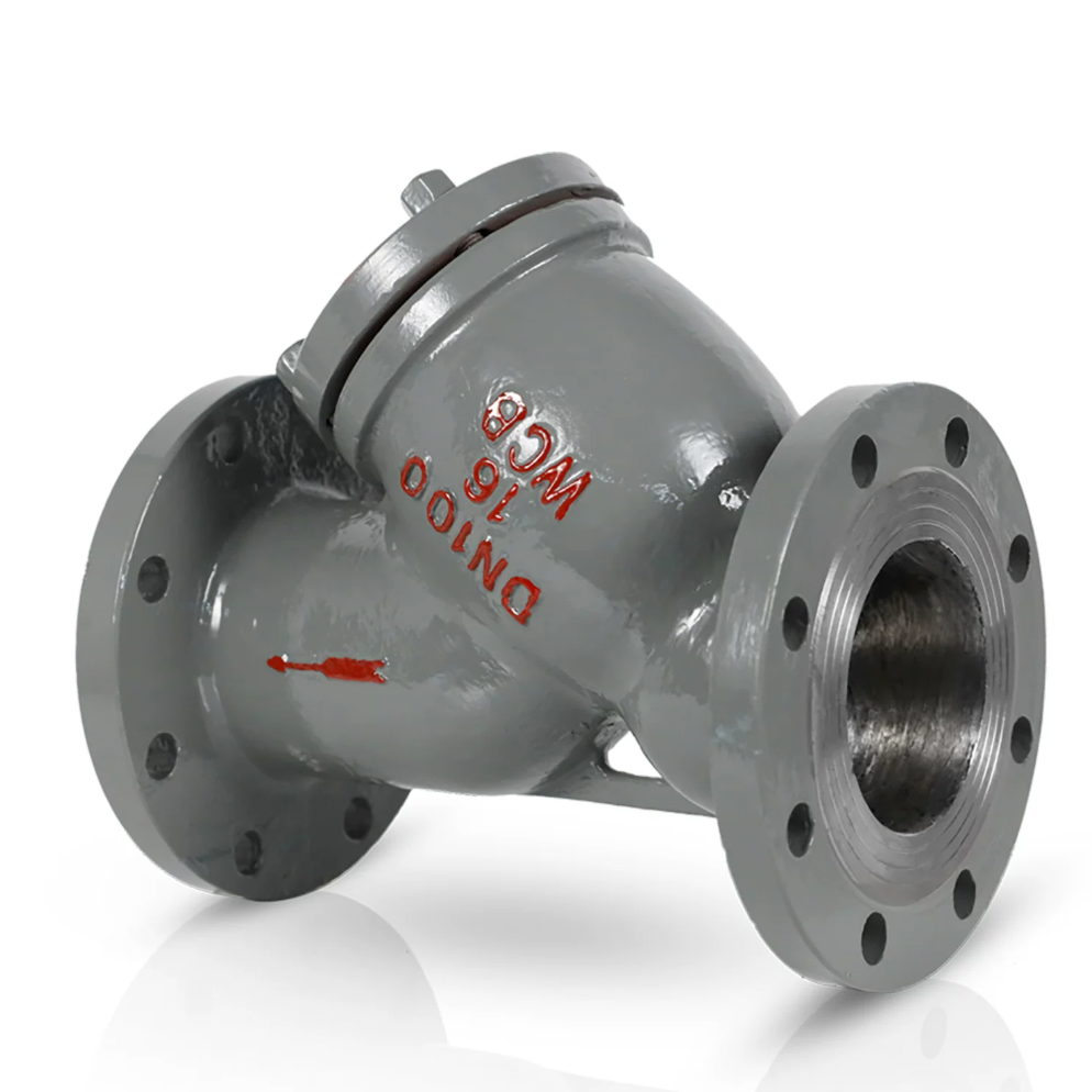 中核苏阀铸铁 Y 型过滤器