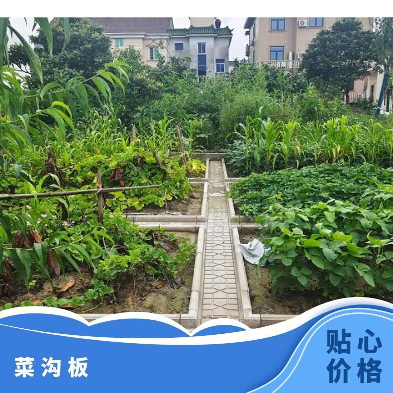 菜沟板