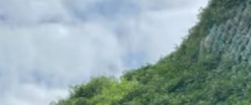 河北头狮建设工程