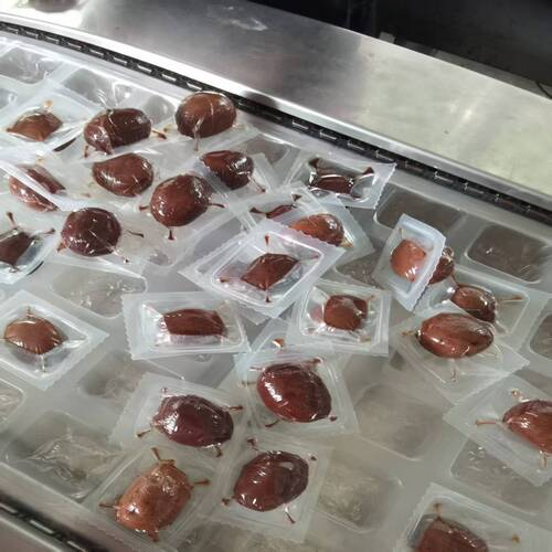 卤蛋二手拉伸膜真空包装机