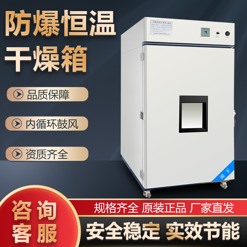 防爆鼓风烘箱