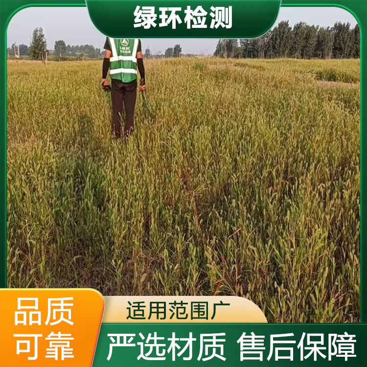 精准检测