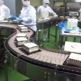 食品输送链板输送机