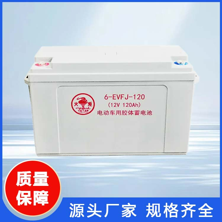 6-EVFJ-80 电动车用胶体蓄电池