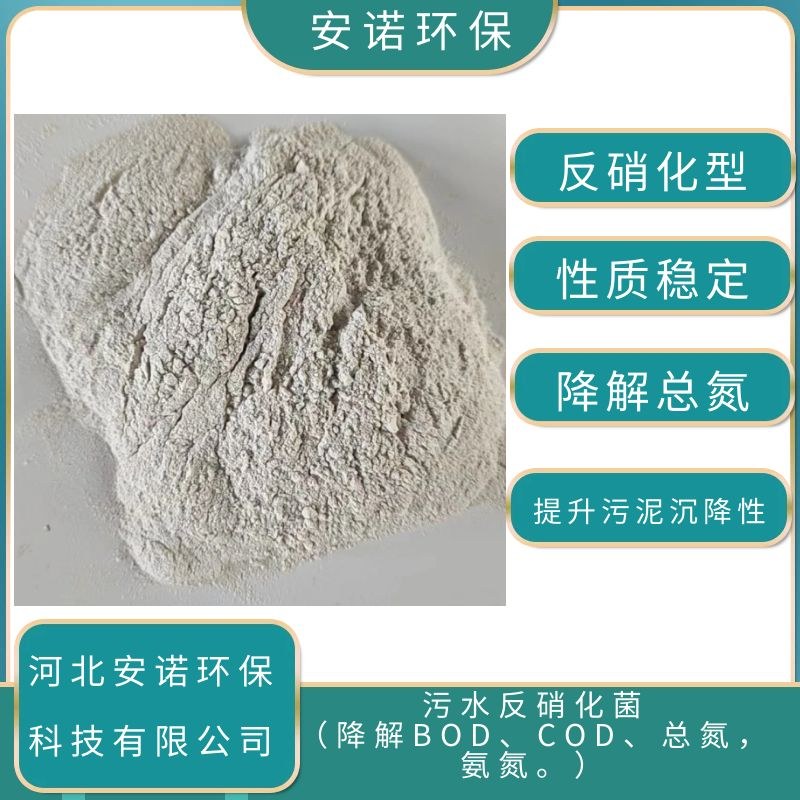 液体硝化细菌 市政污水降低氨氮