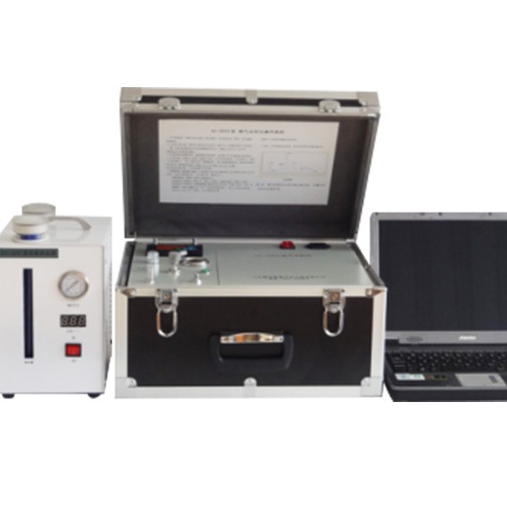 GC-9890便携式燃气分析仪