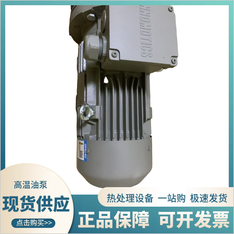 高温油泵 高效率工业炉 智能变频控制 输送高温液体
