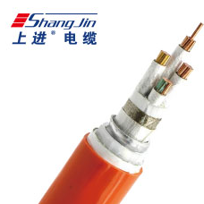 矿物质防火电缆 NG-A