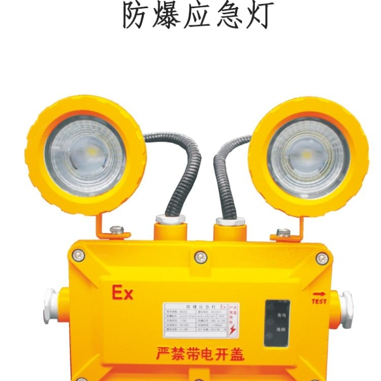 消防（指示）防爆双头应急照明灯