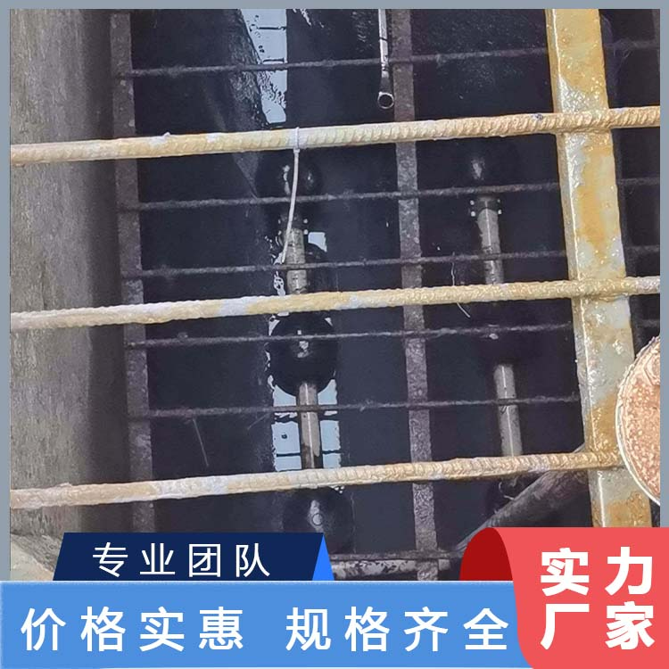清理污水池污泥压滤