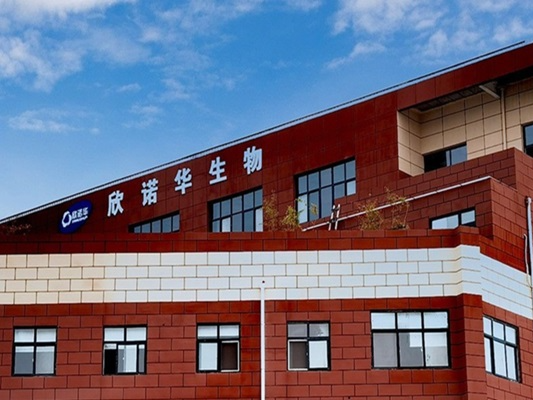 企业logo