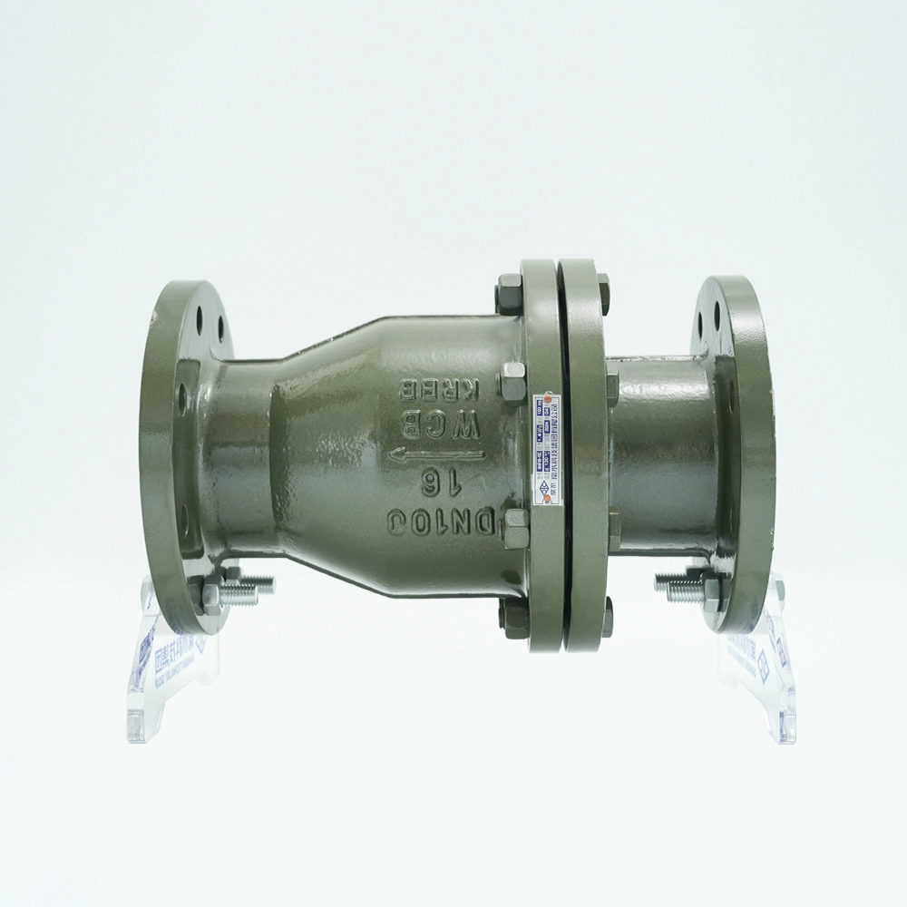 衬氟止回阀 H44F46-16C