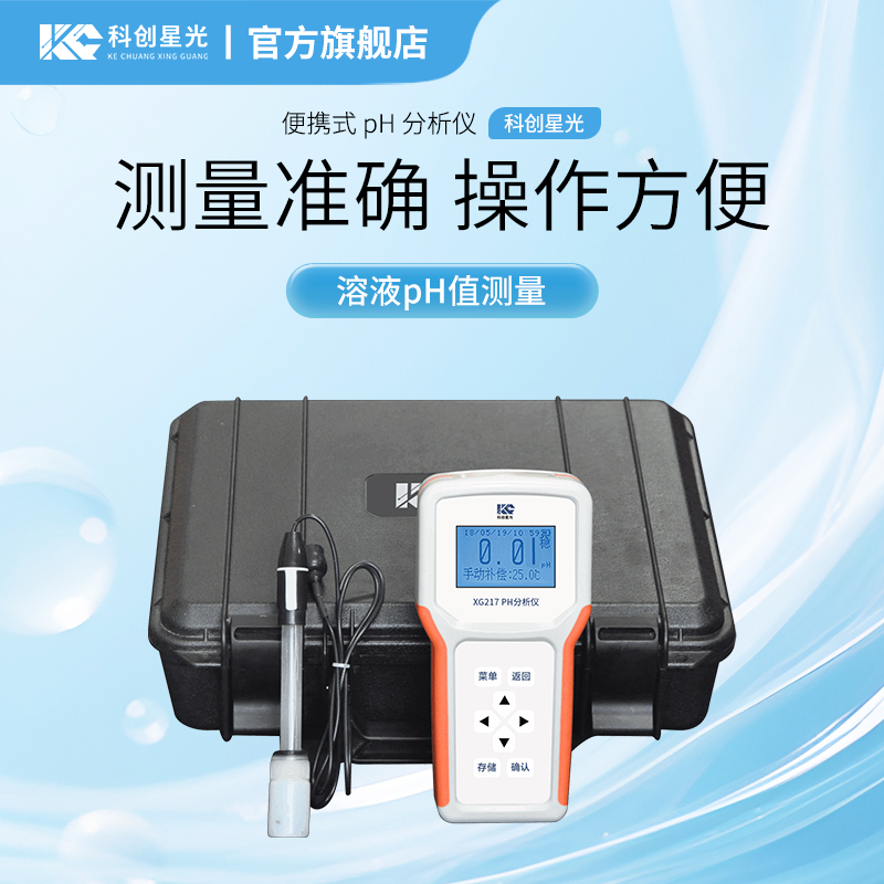 XG217 便携式pH分析仪