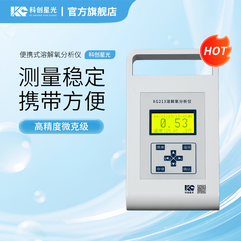 XG213  便携式溶解氧分析仪(微克级)
