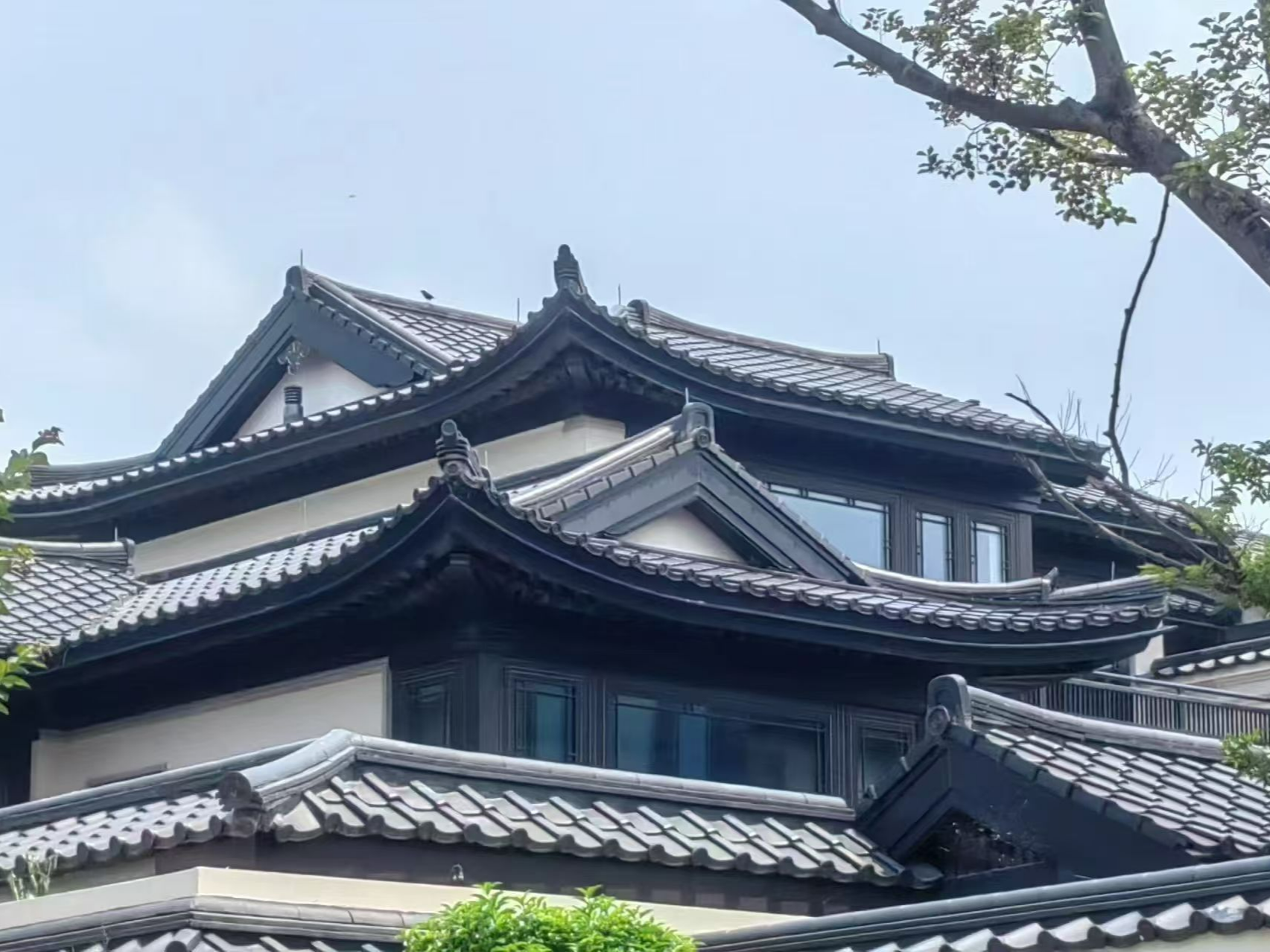 企业logo