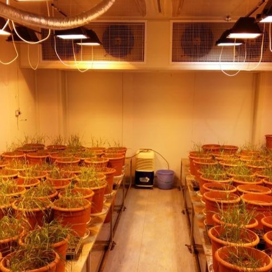植物培养室