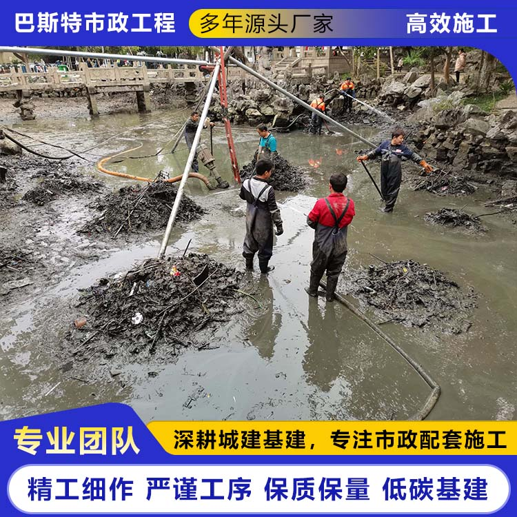 清理污水池污泥压滤