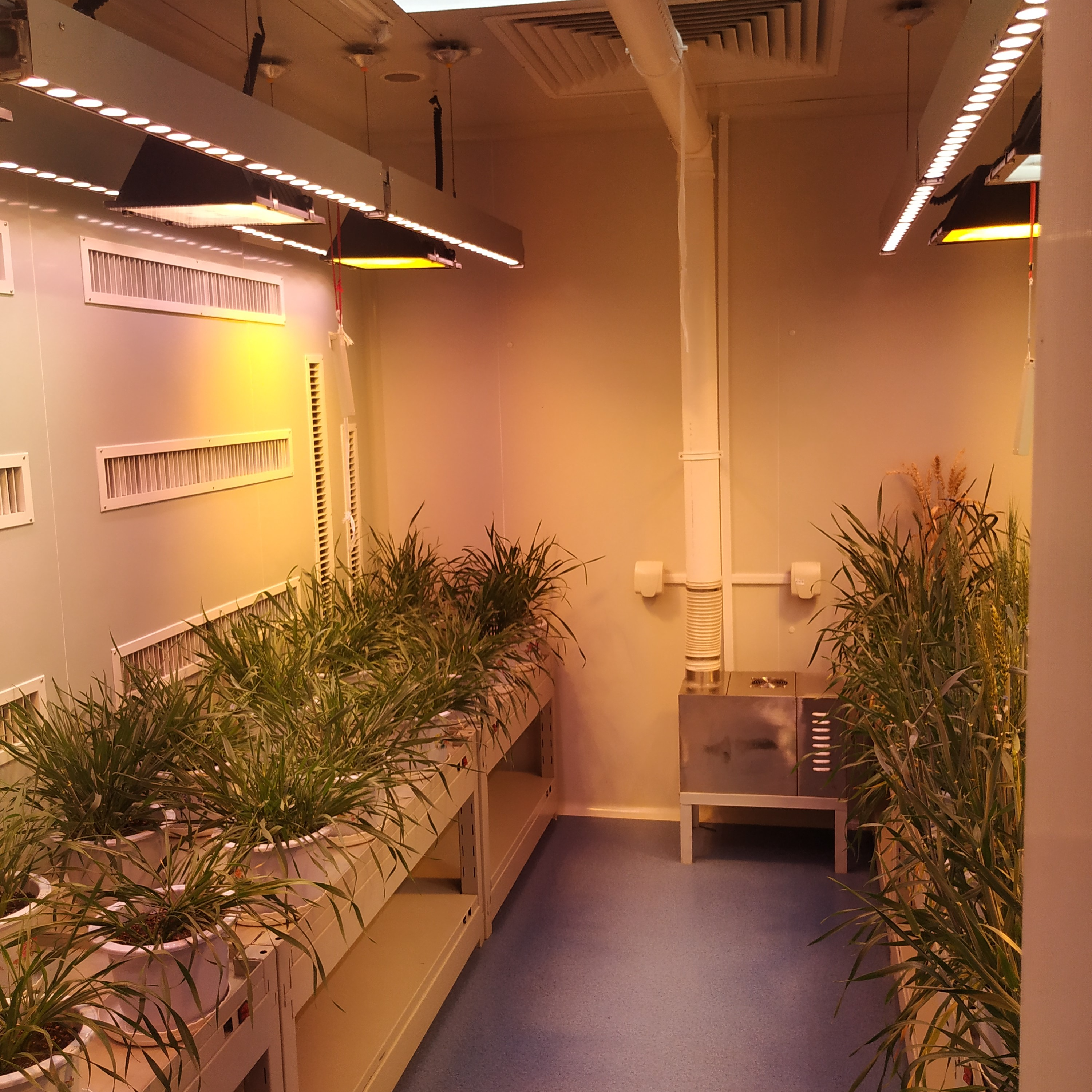 植物培养室