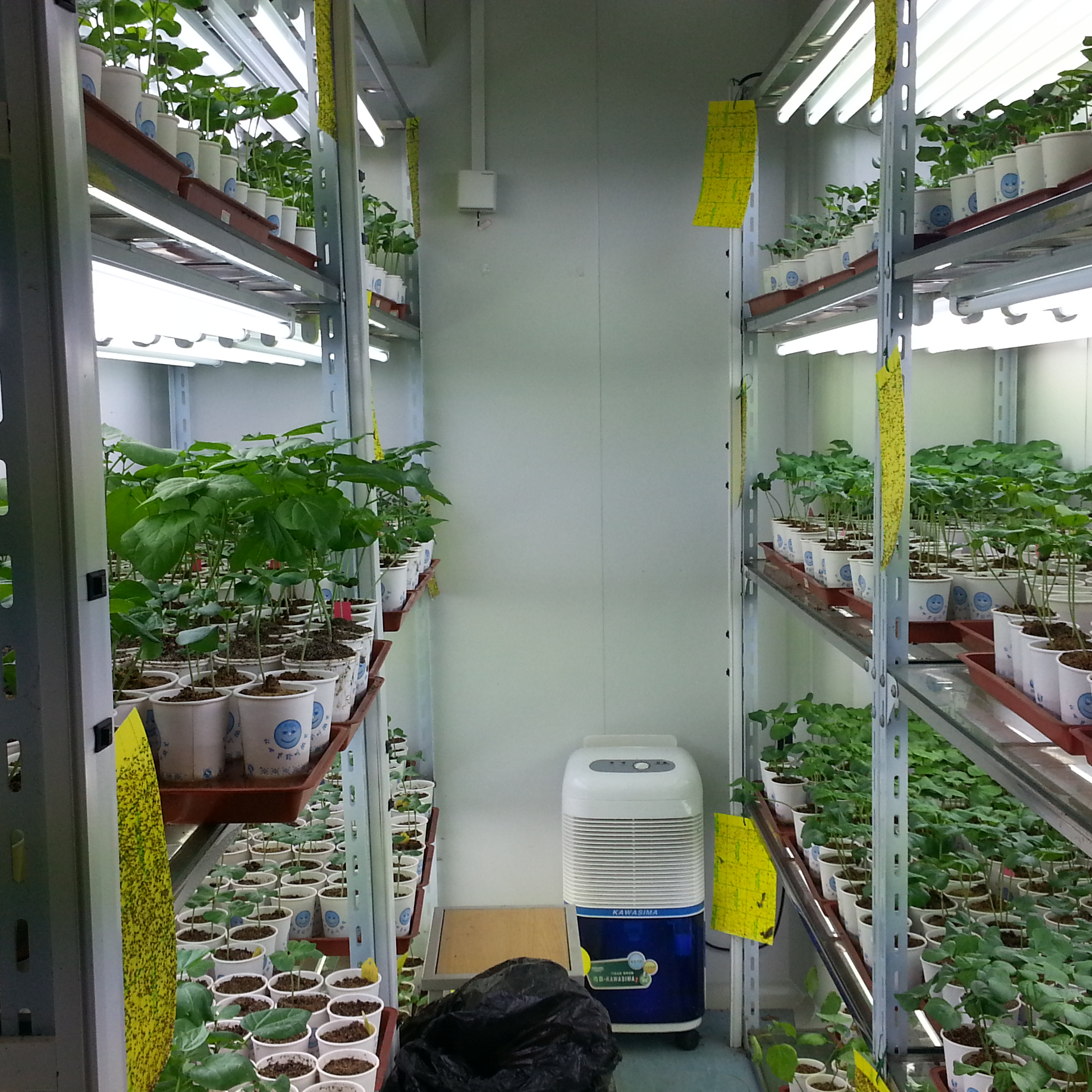 植物培养室