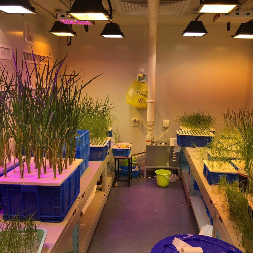 植物培养室